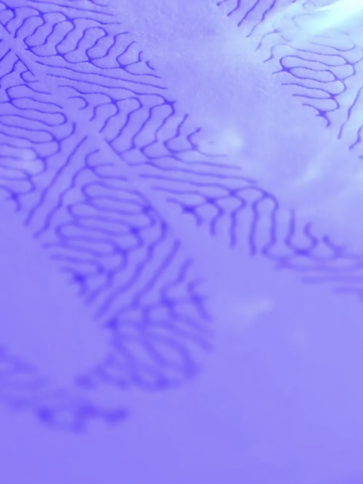 Additive Manufacturing